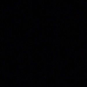 Meet your Posher, Perla